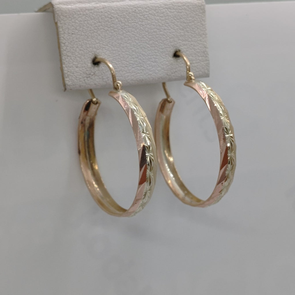 ARRACADAS PAR ORO 10 K 2.5 GRMS (SEMINUEVO)