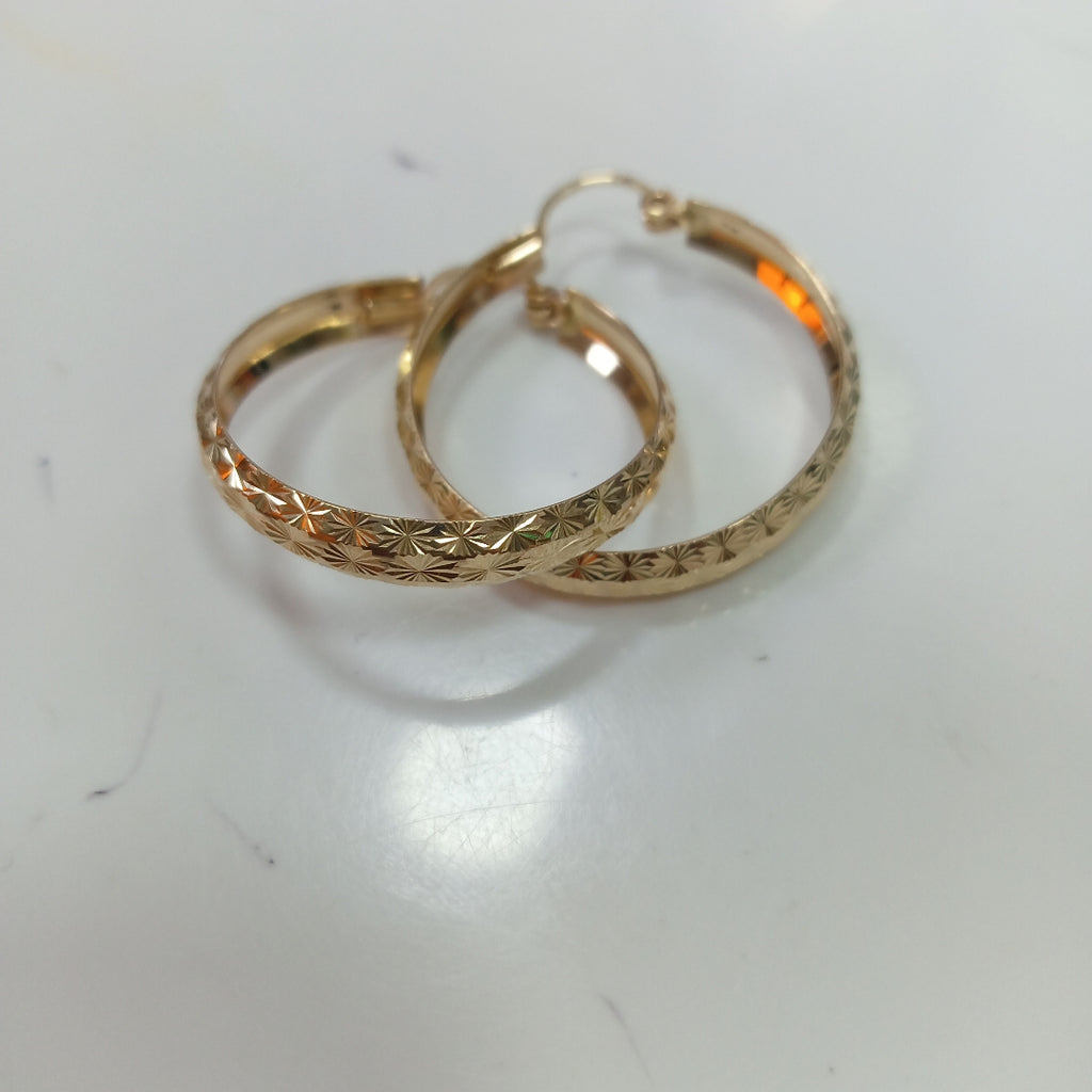 ARRACADAS PAR ORO 10 K 3.5 GRMS (SEMINUEVO)