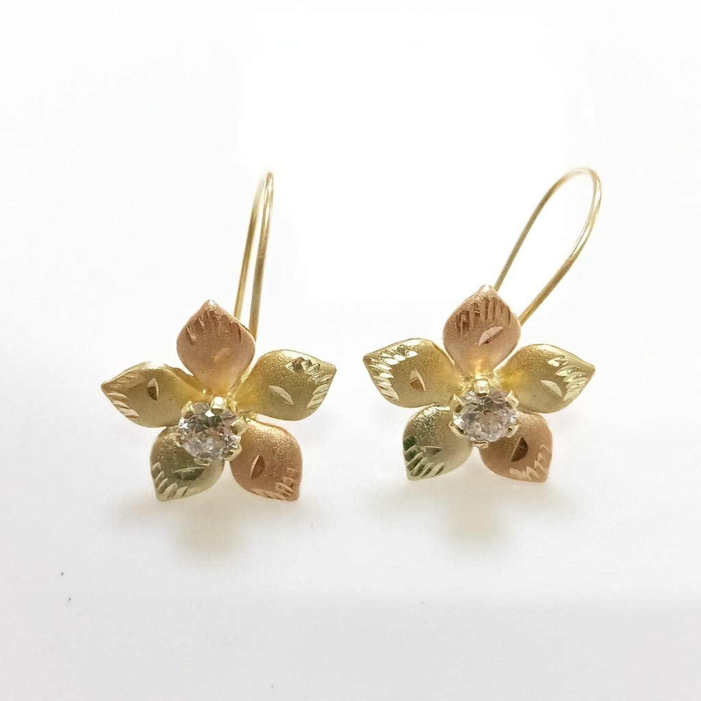 ARETES PAR ORO, ORO COMBINADO 10 K 1.7 GRMS (SEMINUEVO)
