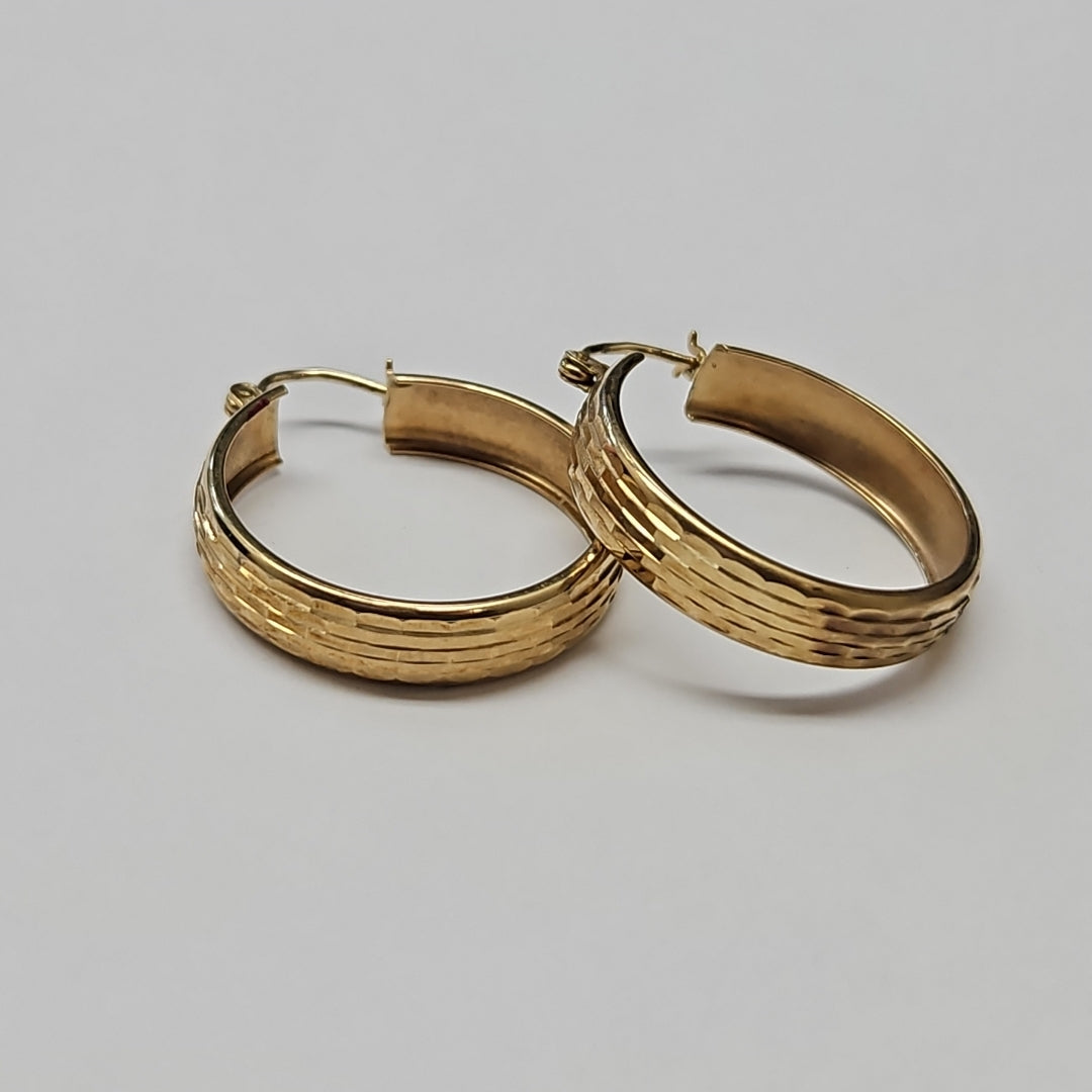 ARETES PAR ORO 10 K 3.1 GRMS (SEMINUEVO)