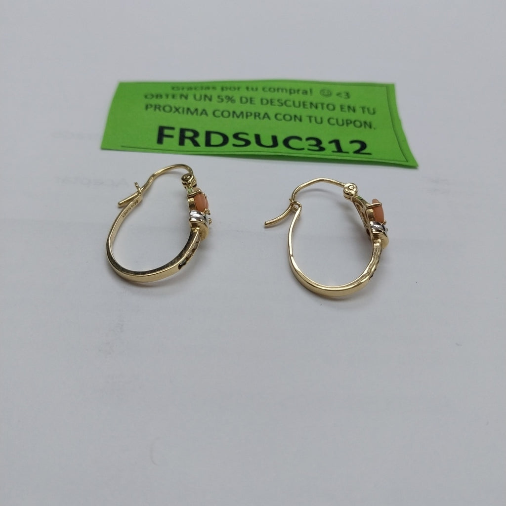 ARETES PAR ORO 14 K 5 GRMS (SEMINUEVO)