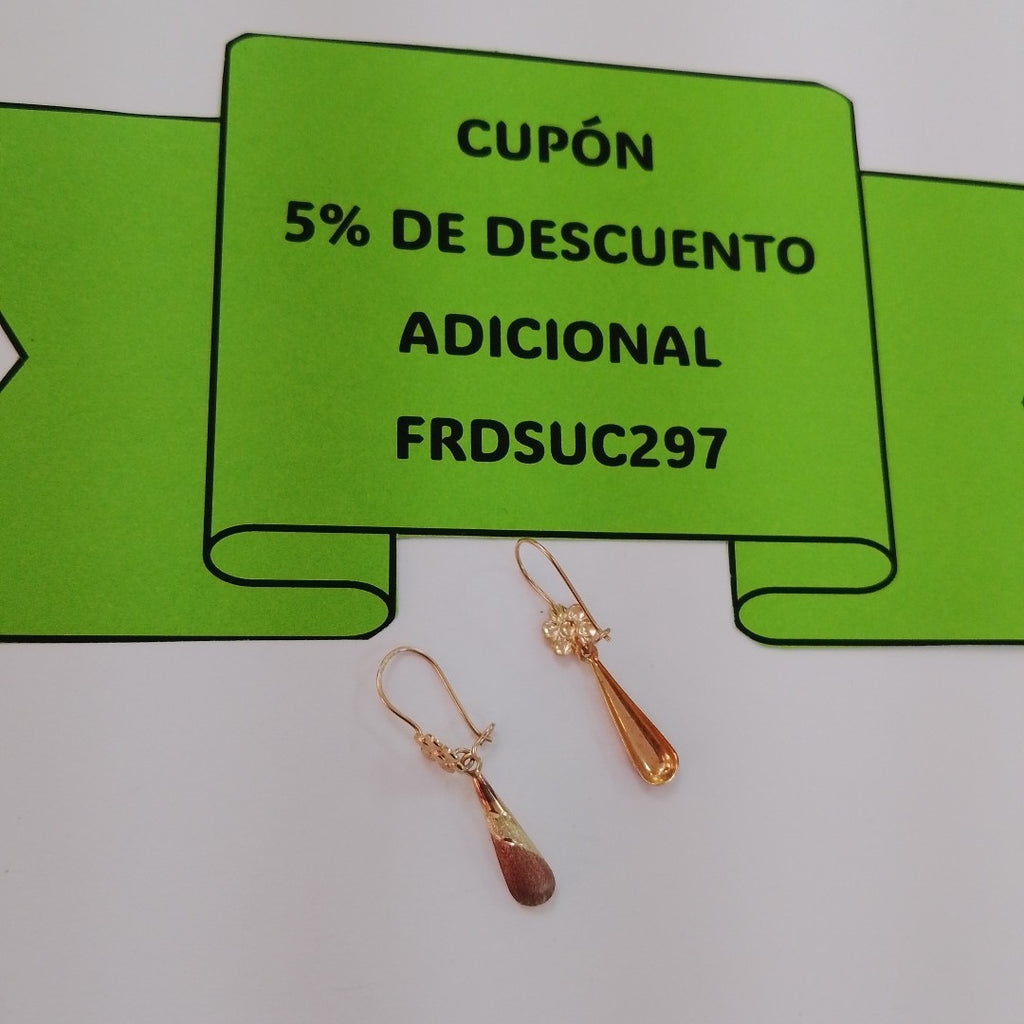 ARETES PAR ORO 10 K 1,10 GRMS (SEMINUEVO)