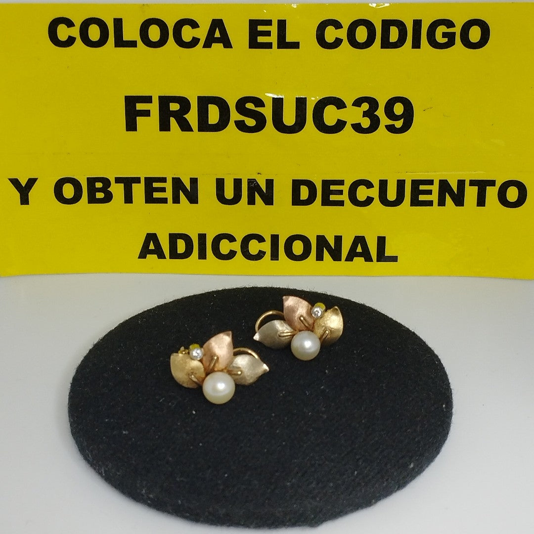 ARETES PAR ORO 14 K 4.1 GRMS (SEMINUEVO)