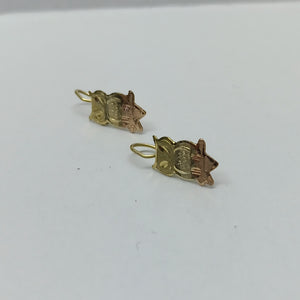 ARETES PAR ORO COMBINADO 10 K 1.1 GRMS (SEMINUEVO)