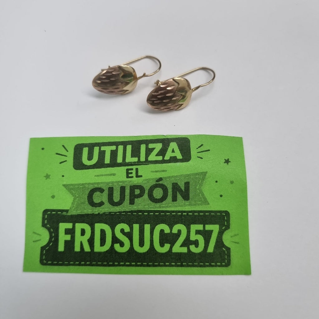 ARETES PAR ORO,ORO COMBINADO 10 K 1,00 GRMS (SEMINUEVO)