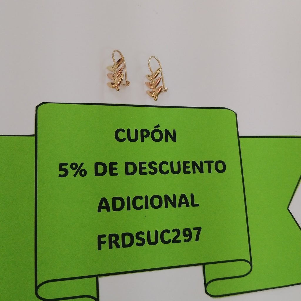ARETES PAR ORO COMBINADO 10 K 0,90 GRMS (SEMINUEVO)