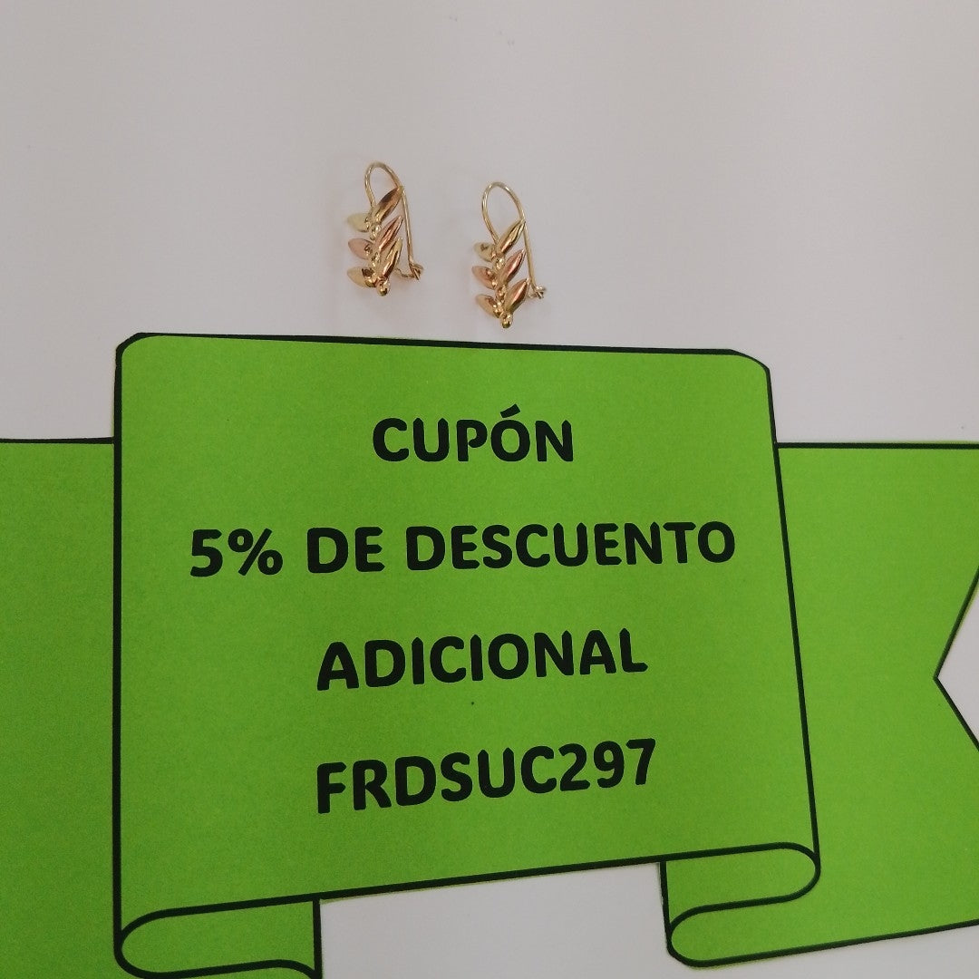 ARETES PAR ORO COMBINADO 10 K 0,90 GRMS (SEMINUEVO)