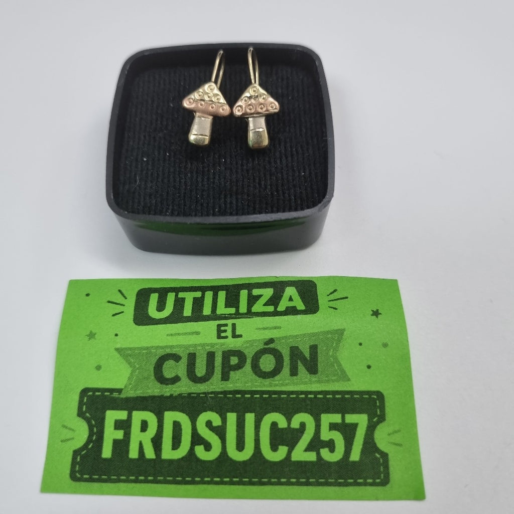 ARETES PAR ORO,ORO COMBINADO 10 K 0,60 GRMS (SEMINUEVO)