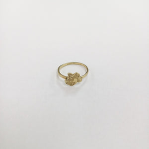 ANILLITO ORO 10 K 0,90 GRMS (SEMINUEVO)