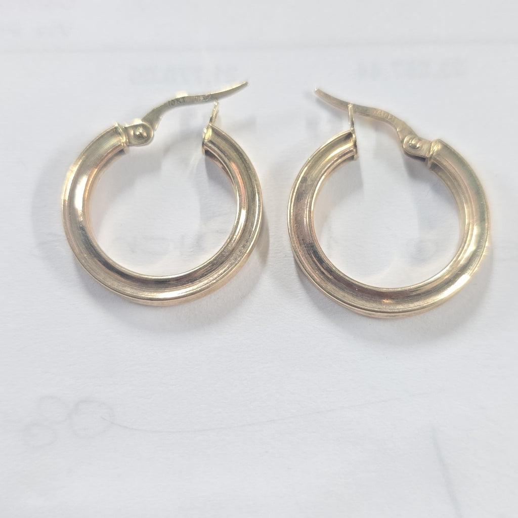 ARRACADAS PAR ORO 10 K 3.8 GRMS (SEMINUEVO)