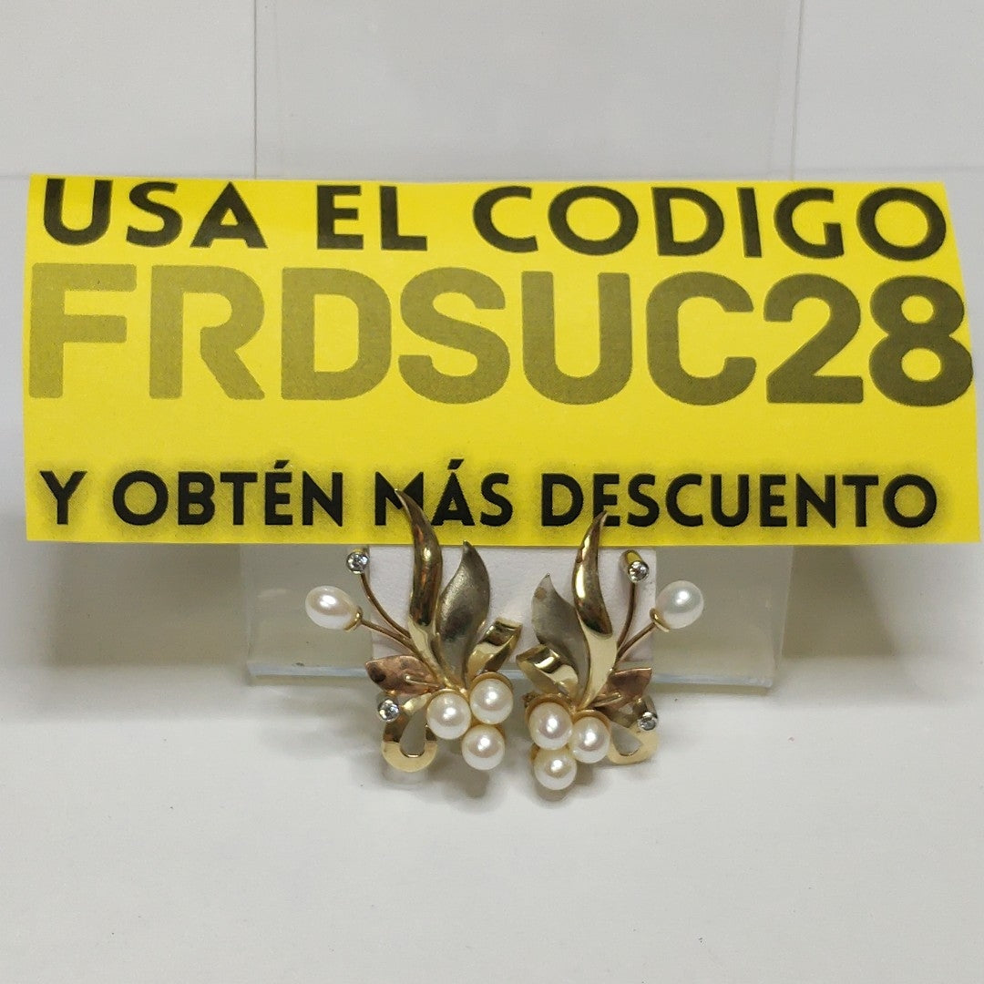 ARETES PAR ORO 10 K 6.5 GRMS (SEMINUEVO)