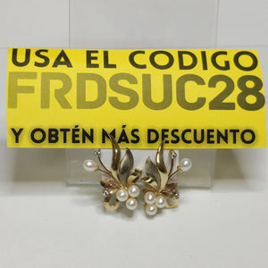 ARETES PAR ORO 10 K 6.5 GRMS (SEMINUEVO)