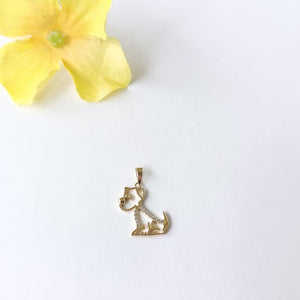 DIJES ORO 14K 1.1 (NUEVO)