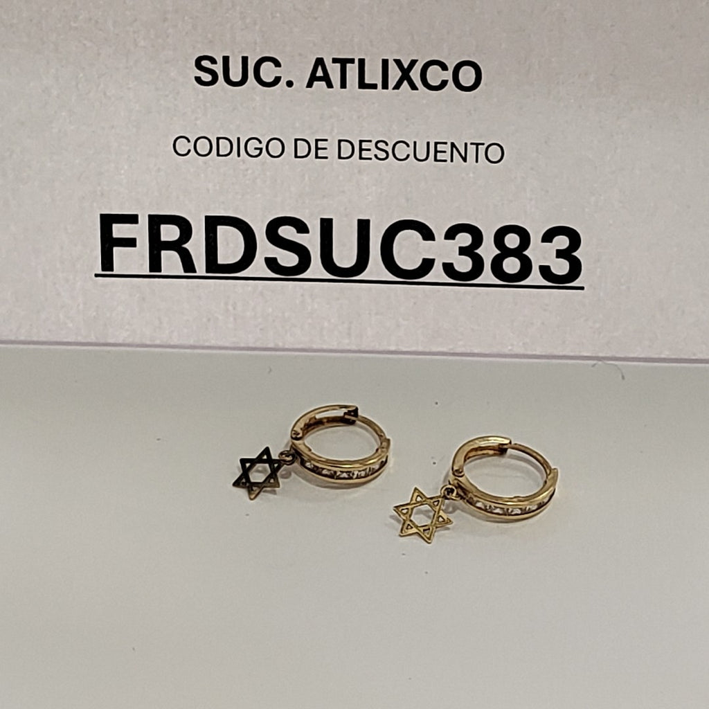 ARRACADAS PAR ORO 10 K 1.2 GRMS (SEMINUEVO)