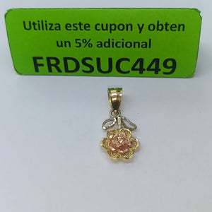 DIJE ORO 14 K 1.7 GRMS (SEMINUEVO)