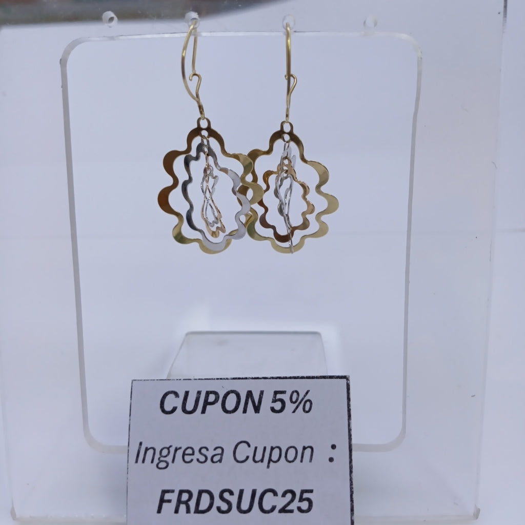 ARETES PAR ORO 10 K 2,70 GRMS (SEMINUEVO)