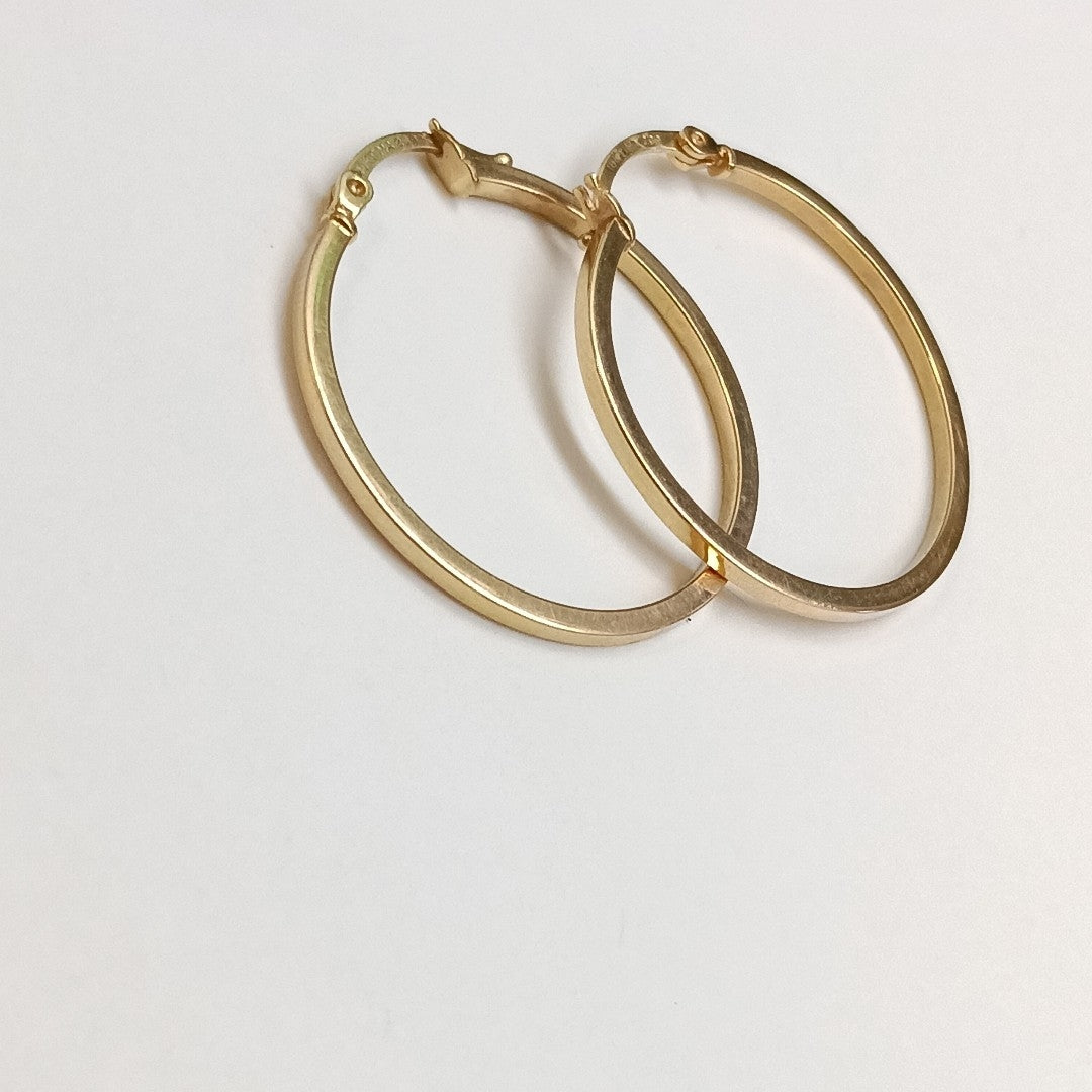 ARRACADAS PAR ORO 10 K 1,70 GRMS (SEMINUEVO)