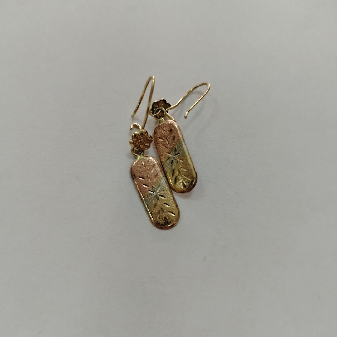 ARETES PAR ORO 10 K 1,40 GRMS (SEMINUEVO)