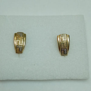ARETES PAR ORO 14 K 2.9 GRMS (SEMINUEVO)
