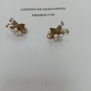 ARETES PAR ORO 10 K 5 GRMS (SEMINUEVO)