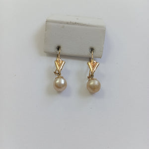 BROQUELES PAR ORO 10 K 1,40 GRMS (SEMINUEVO)