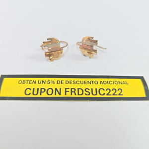 ARETES PAR ORO 10 K 1.1 GRMS (SEMINUEVO)