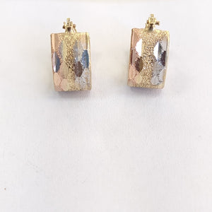 ARETES PAR ORO 10 K 1,90 GRMS (SEMINUEVO)