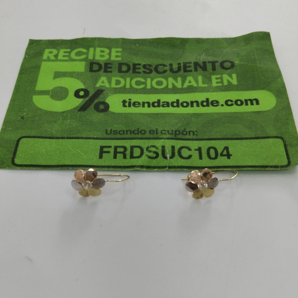 ARETES PAR ORO 10 K 1,00 GRMS (SEMINUEVO)