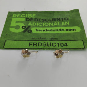 ARETES PAR ORO 10 K 1,00 GRMS (SEMINUEVO)