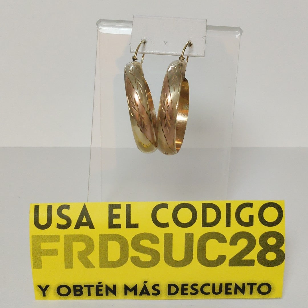 ARRACADAS PAR ORO 10 K 5,40 GRMS (SEMINUEVO)