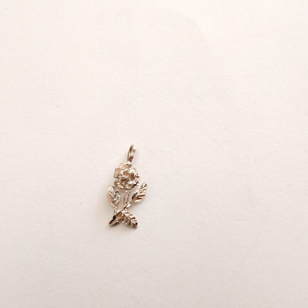 DIJE ORO 14 K 0.8 GRMS (SEMINUEVO)