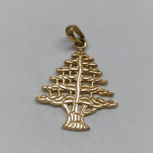 DIJE ORO 14 K 1.5 GRMS (SEMINUEVO)