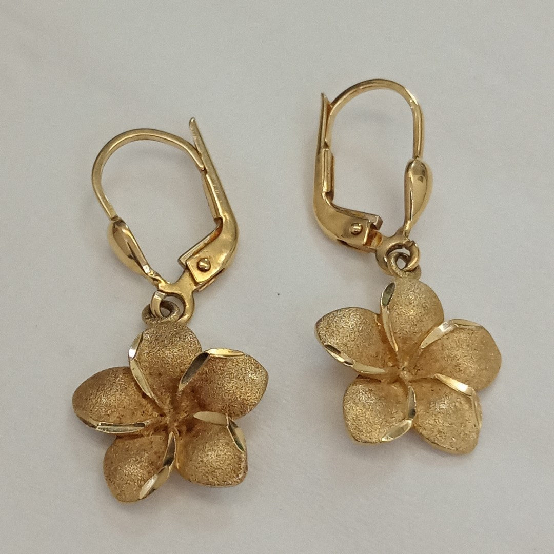 ARETES PAR ORO 14 K 2,90 GRMS (SEMINUEVO)