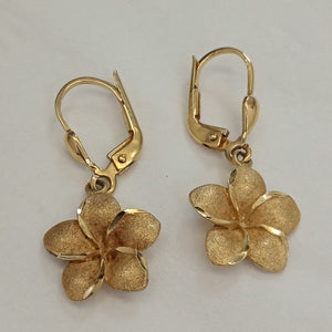 ARETES PAR ORO 14 K 2,90 GRMS (SEMINUEVO)