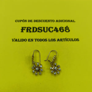 ARETES PAR ORO 10 K 1,90 GRMS (SEMINUEVO)
