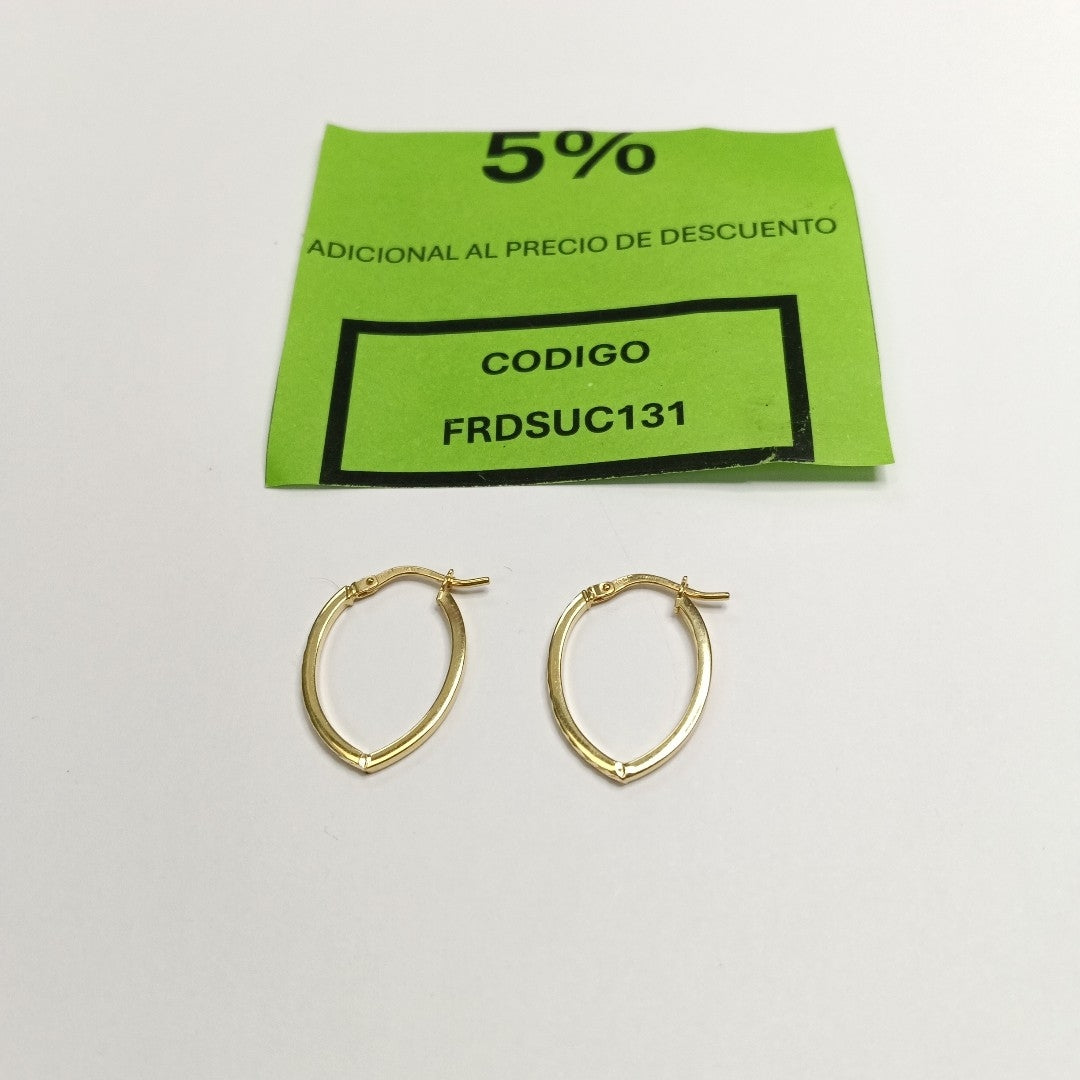 ARETES PAR ORO 10 K 1 GRMS (SEMINUEVO)