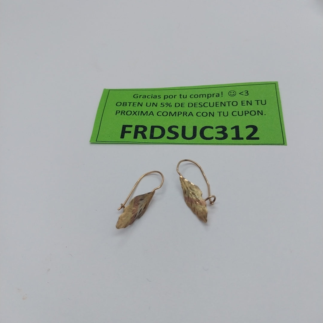 ARETES PAR ORO 10 K 0.8 GRMS (SEMINUEVO)