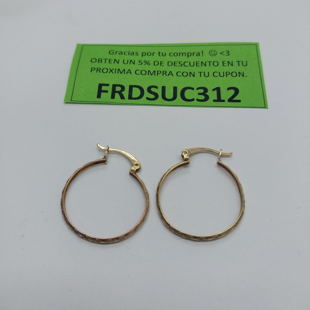 ARRACADAS PAR ORO 10 K 2 GRMS (SEMINUEVO)