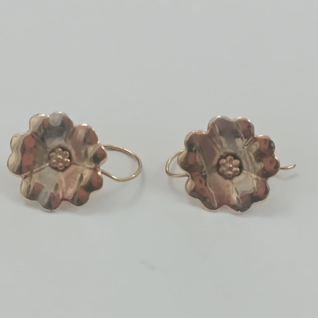 ARETES PAR ORO 10 K 1.2 GRMS (SEMINUEVO)