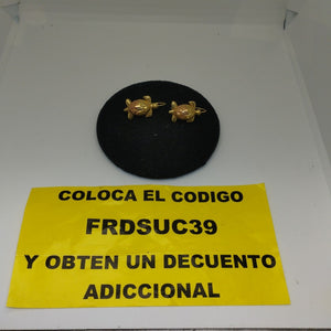 ARETES PAR ORO 10 K 2.8 GRMS (SEMINUEVO)