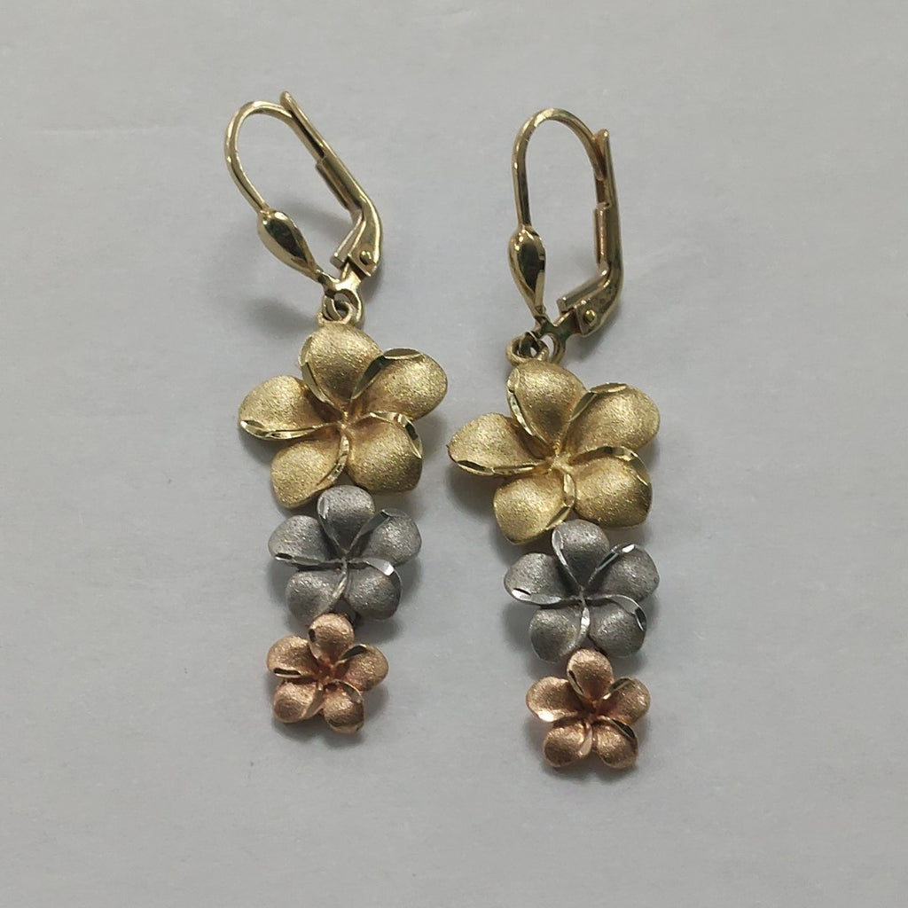 ARETES PAR ORO, ORO COMBINADO 14 K 4 GRMS (SEMINUEVO)