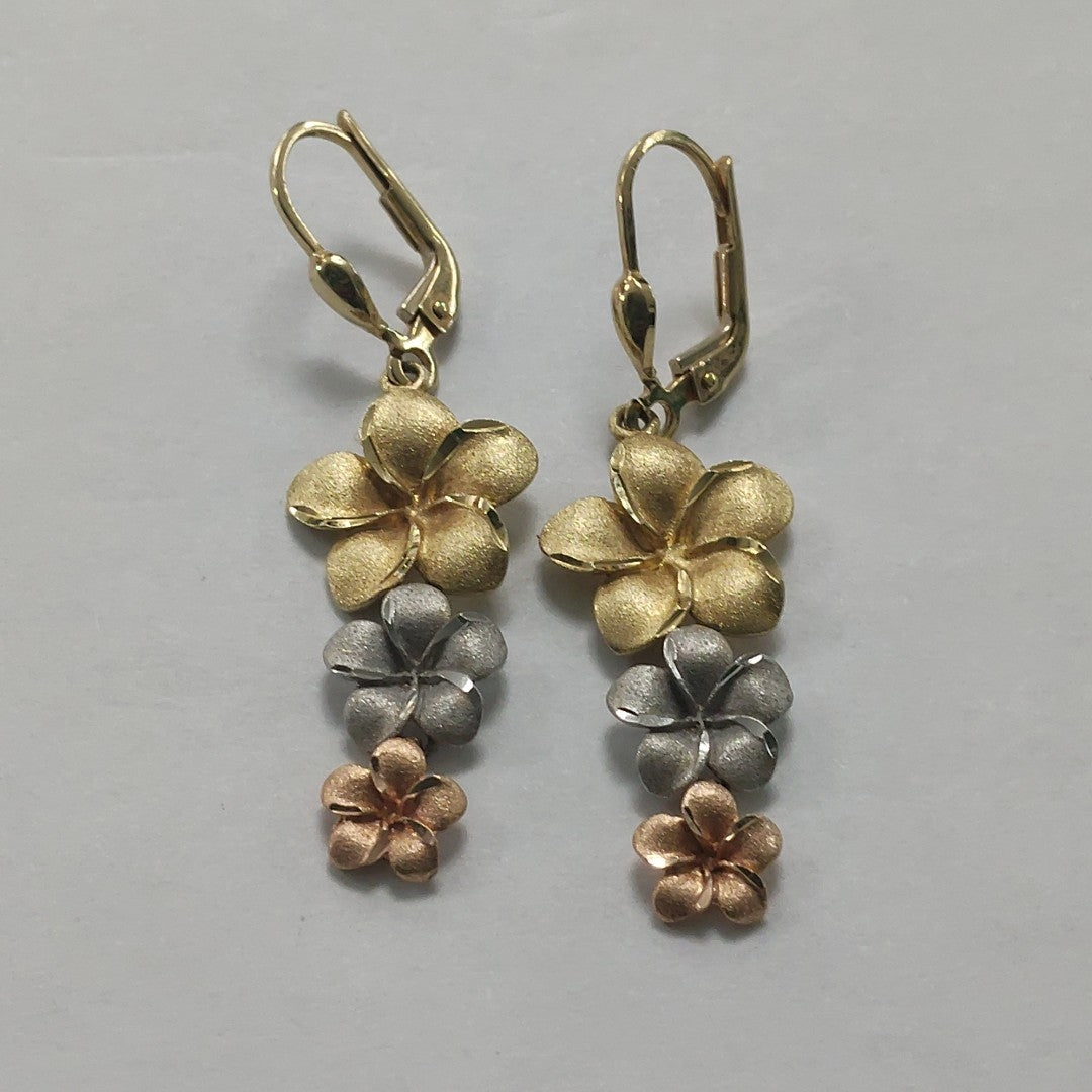 ARETES PAR ORO, ORO COMBINADO 14 K 4 GRMS (SEMINUEVO)