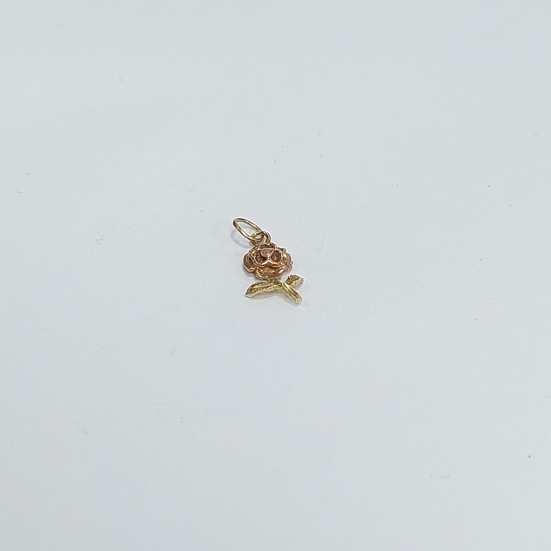 DIJE ORO 14 K 0,70 GRMS (SEMINUEVO)