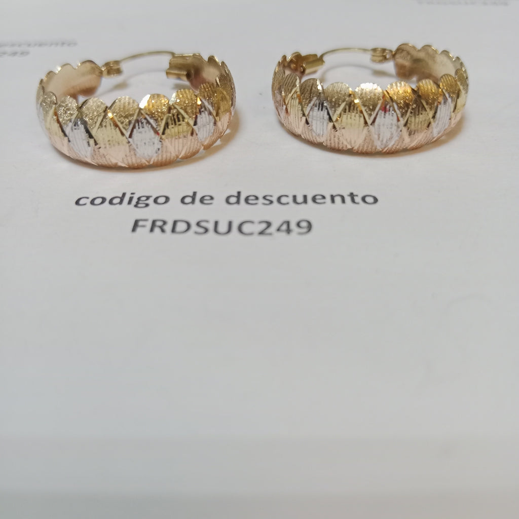 ARRACADAS PAR ORO 10 K 3.6 GRMS (SEMINUEVO)