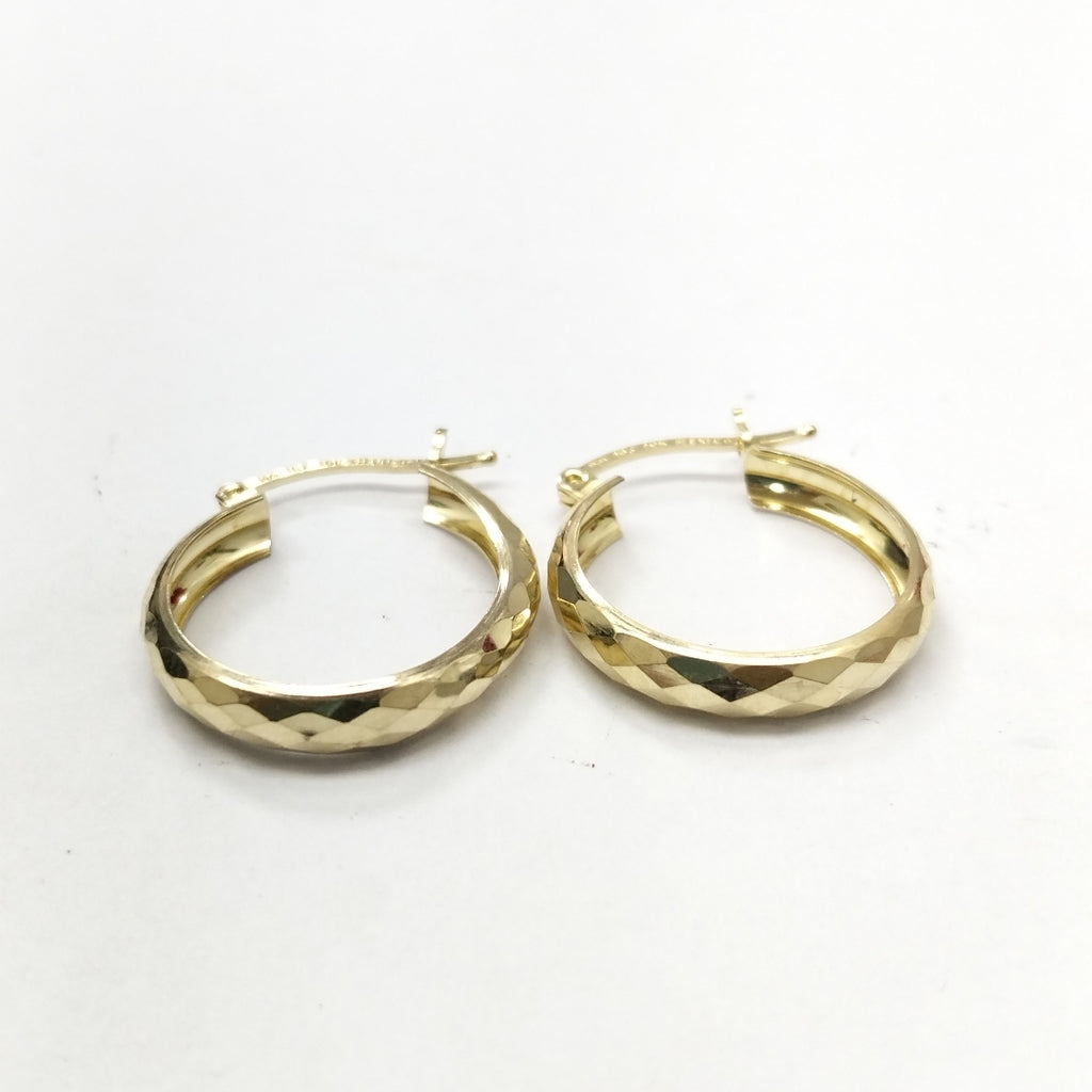 ARRACADAS PAR ORO 10 K 1.6 GRMS (SEMINUEVO)