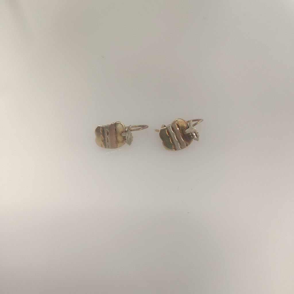 ARETES PAR ORO 10 K 1,00 GRMS (SEMINUEVO)
