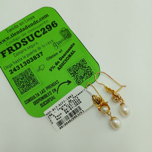 ARETES PAR ORO 10 K 2.4 GRMS (SEMINUEVO)
