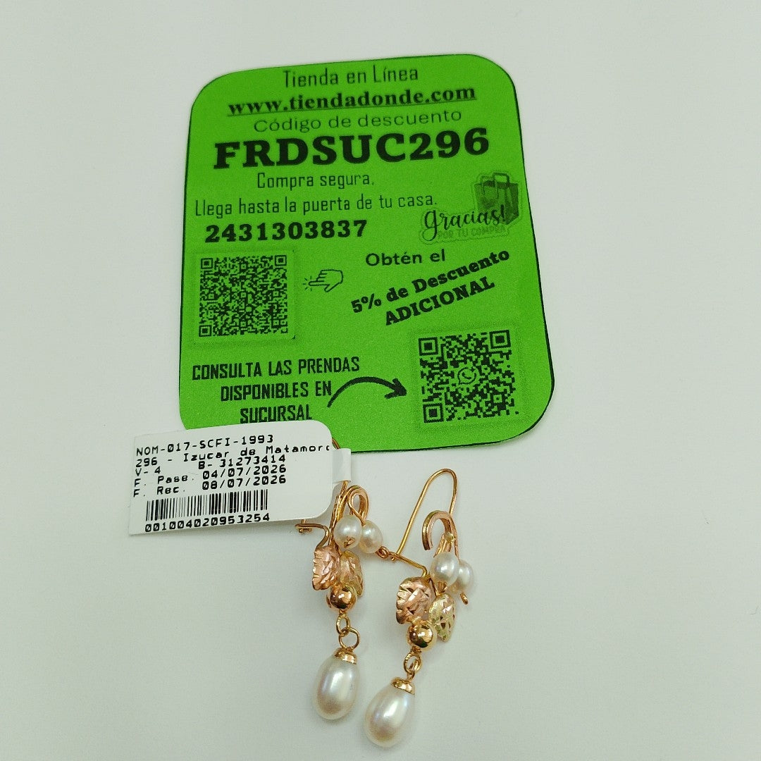 ARETES PAR ORO 10 K 2.7 GRMS (SEMINUEVO)
