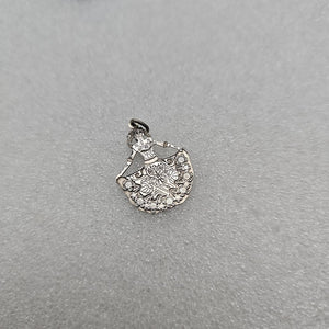 DIJE PLATA 10.4 GRMS (SEMINUEVO)