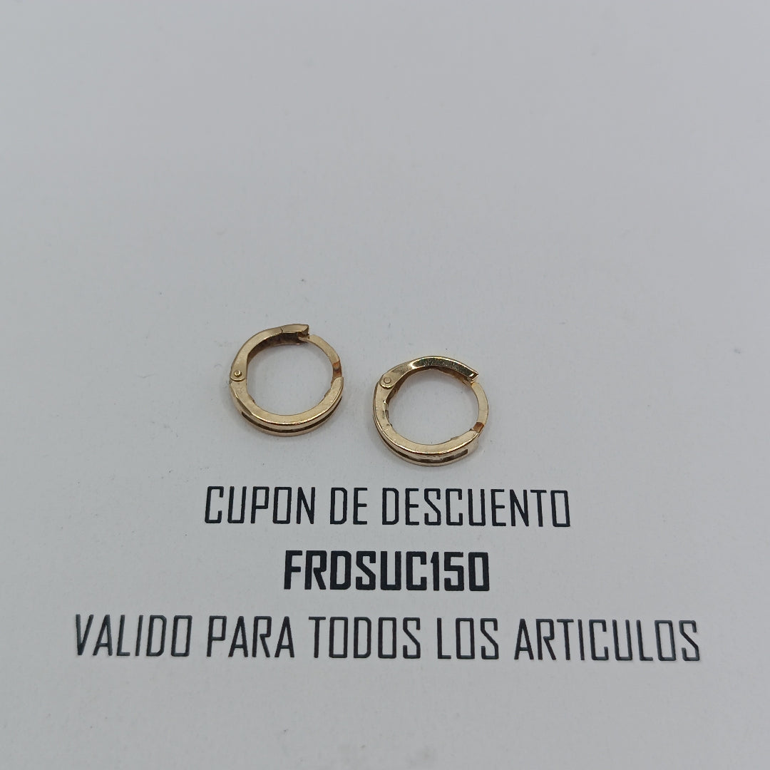 ARETES PAR ORO 10 K 0,70 GRMS (SEMINUEVO)